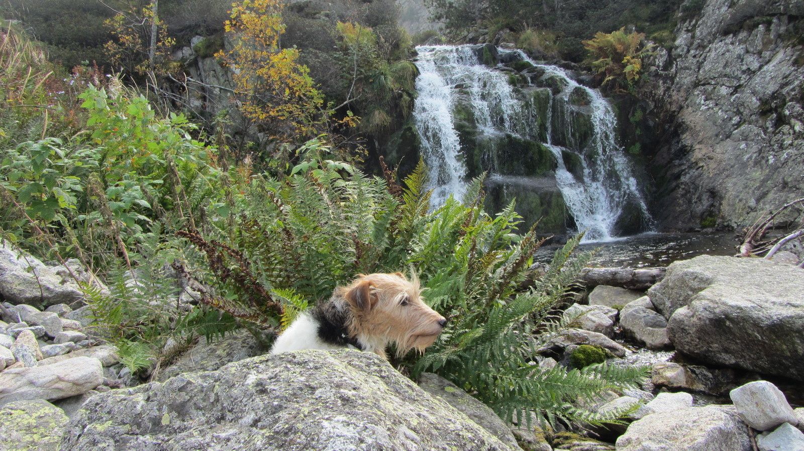 Source Deau Chaude Merens Les Vals Source D'eau Chaude Merens Les Vals - Esam Solidarity