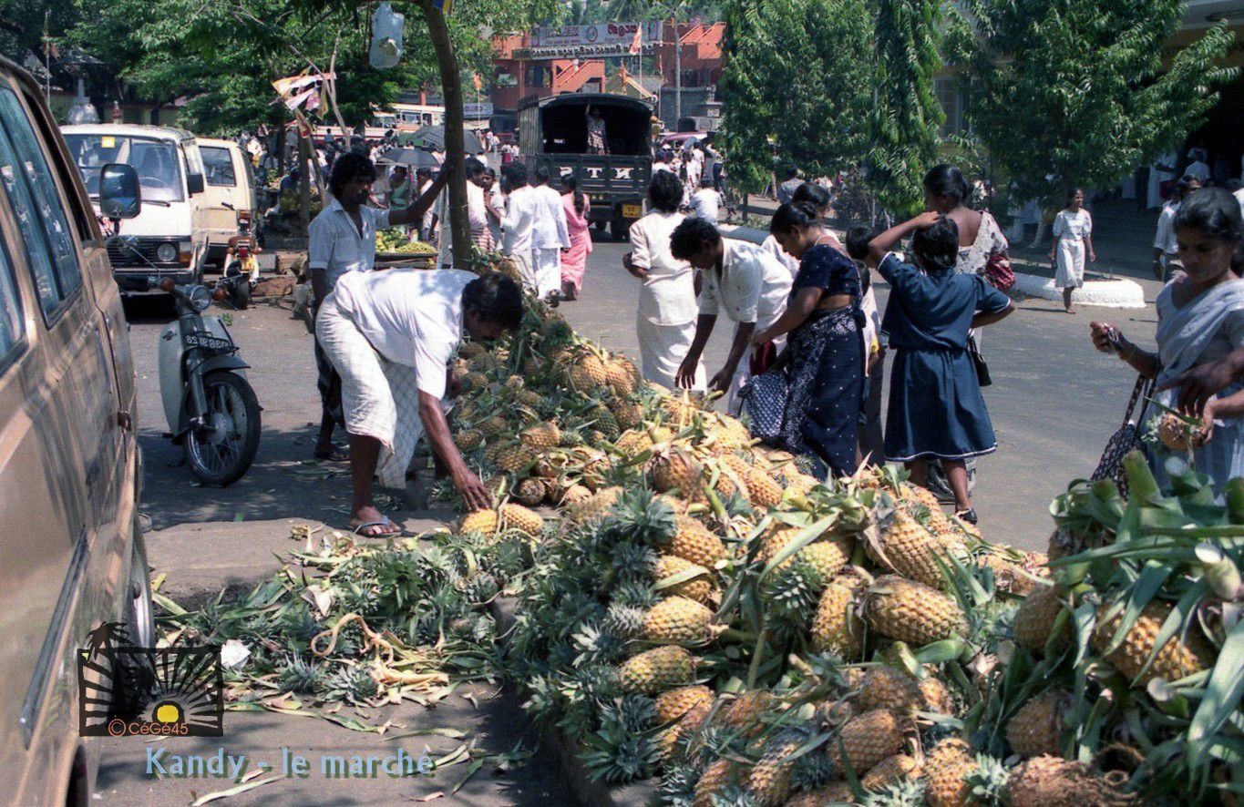 site de rencontre sri lankaise