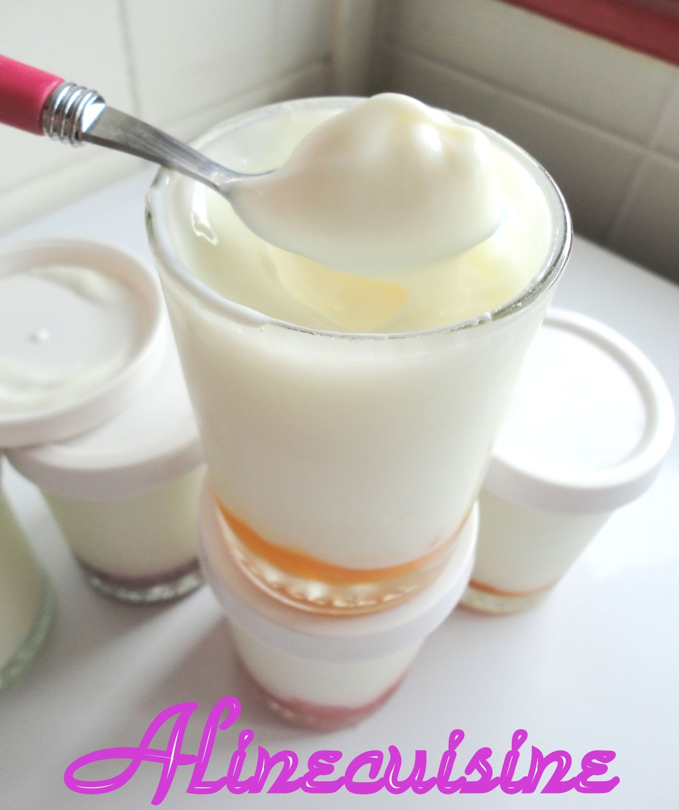Yaourts Maison A La Confiture Alinecuisine Overblog Com