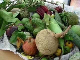 le bon coin reunion jardinage 974 le bon coin reunion jardinage 974