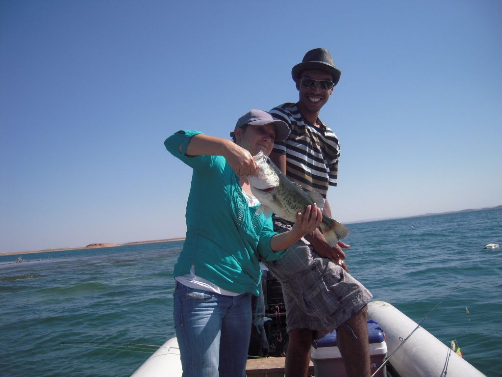 connaitre son qi gratuitement