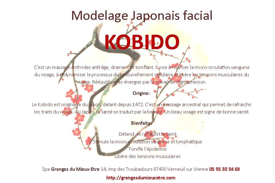 Modelage Facial 10