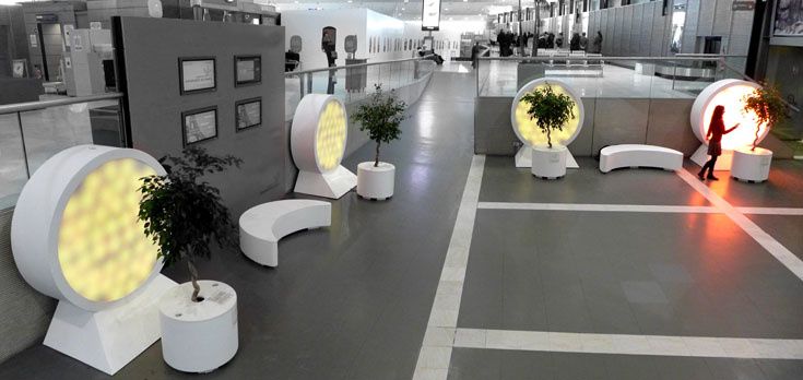 Lumifolia par Scenocosme.