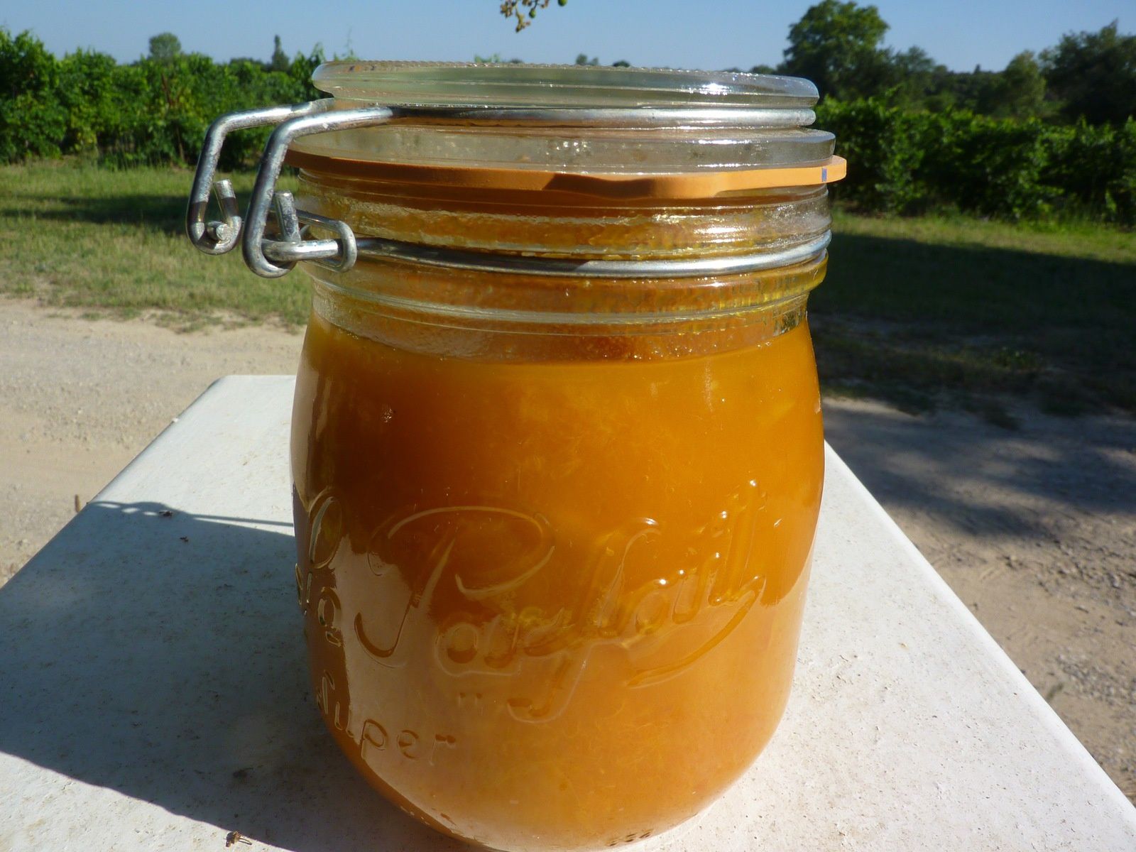 Conserves compote d'abricots - La Friandine