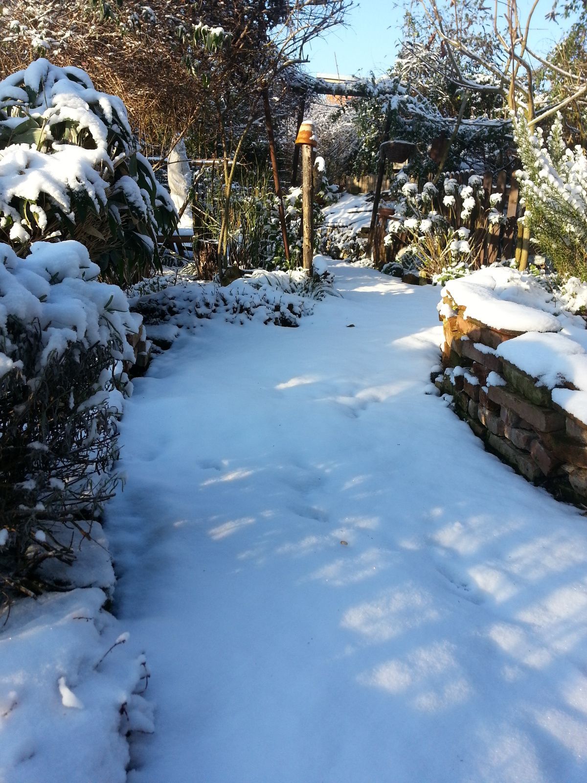 Fleuve Venant Des Alpes 2 Lettres Le jardin, fin décembre 2014 - zanimaux.overblog.com