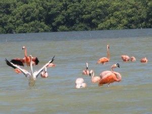 Reportage: Yucatan, seconda parte