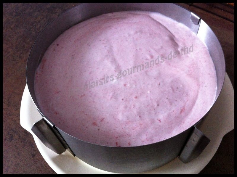 Comment Decorer Mon Bavarois Comment Decorer Mon Bavarois