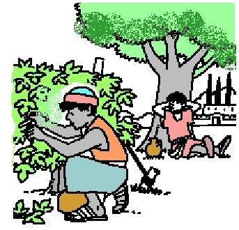 prostituée sud manche