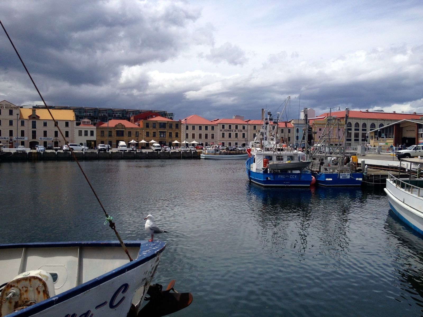 rencontre calédonienne