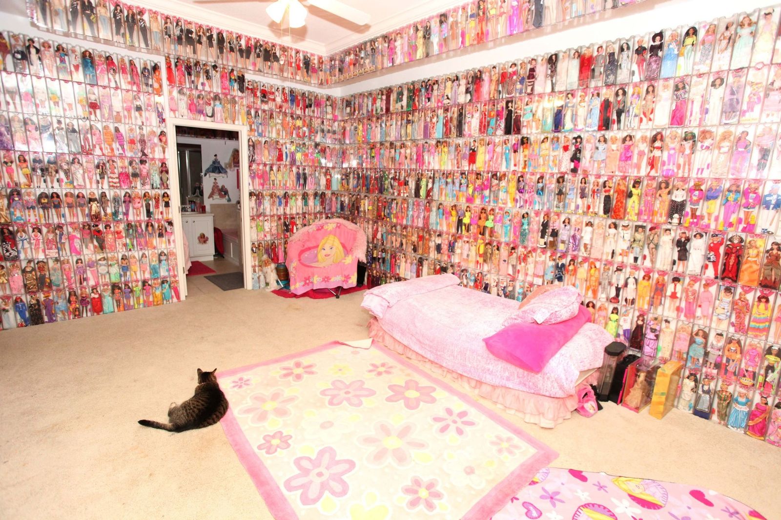 collectionneur recherche barbie