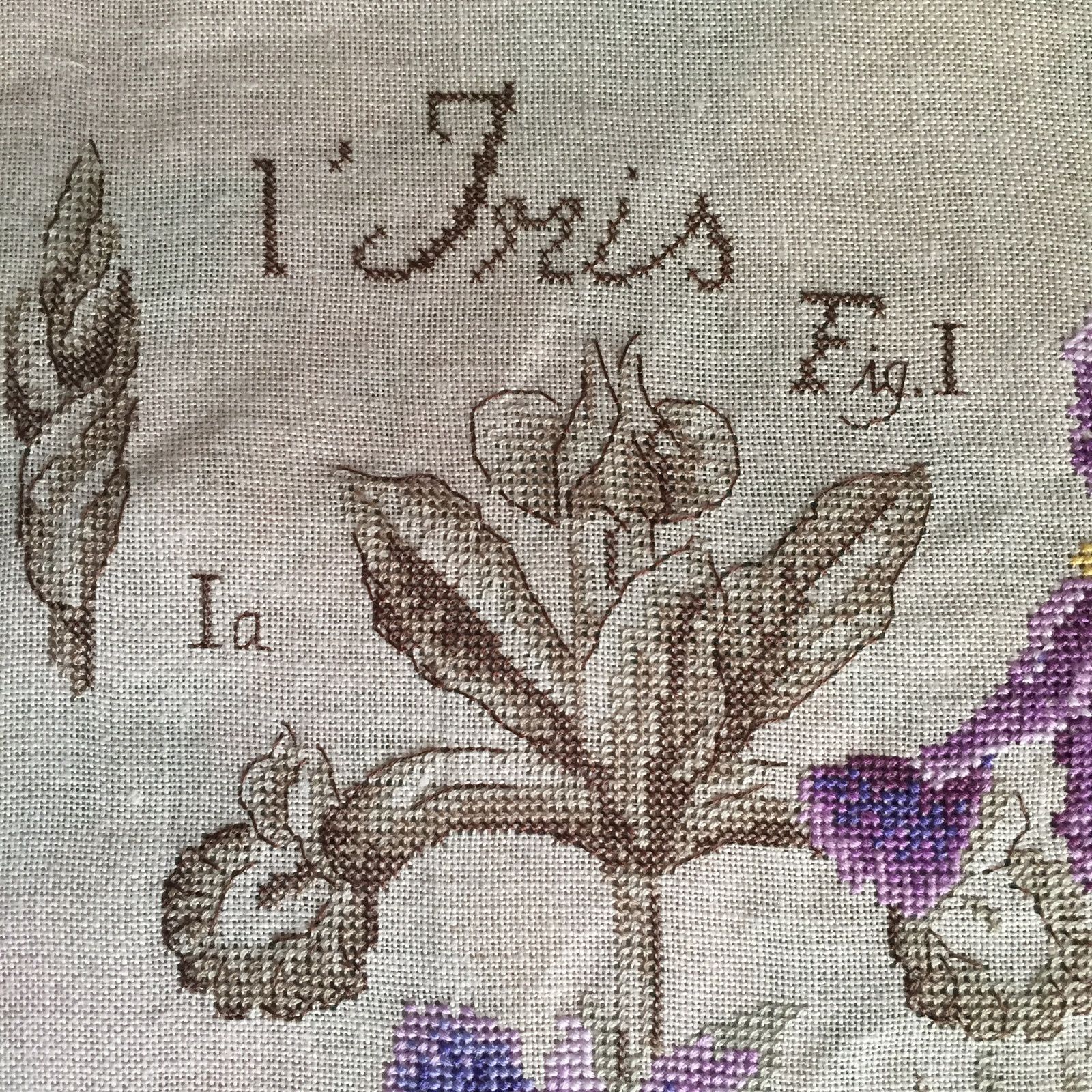 La planche botanique L'Iris de Véronique Enginger - Dans le jardin de  Lilubelle, il y a ...