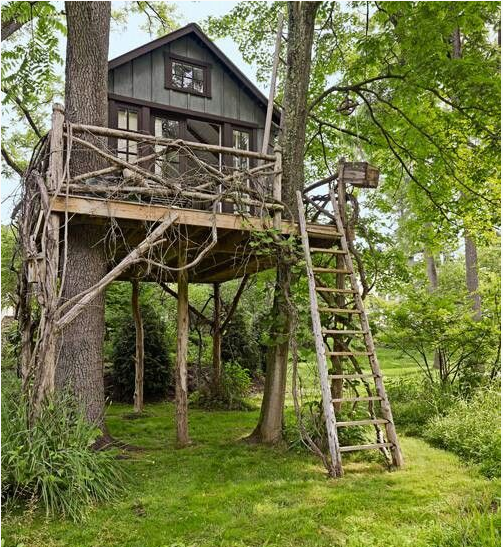 Fabriquer Une Cabane En Bois Dans Un Arbre : Une cabane dans les arbres pour les enfants : 5 astuces pour la Fabriquer Une Cabane En Bois Dans Un Arbre : Une cabane dans les arbres pour les enfants : 5 astuces pour la
