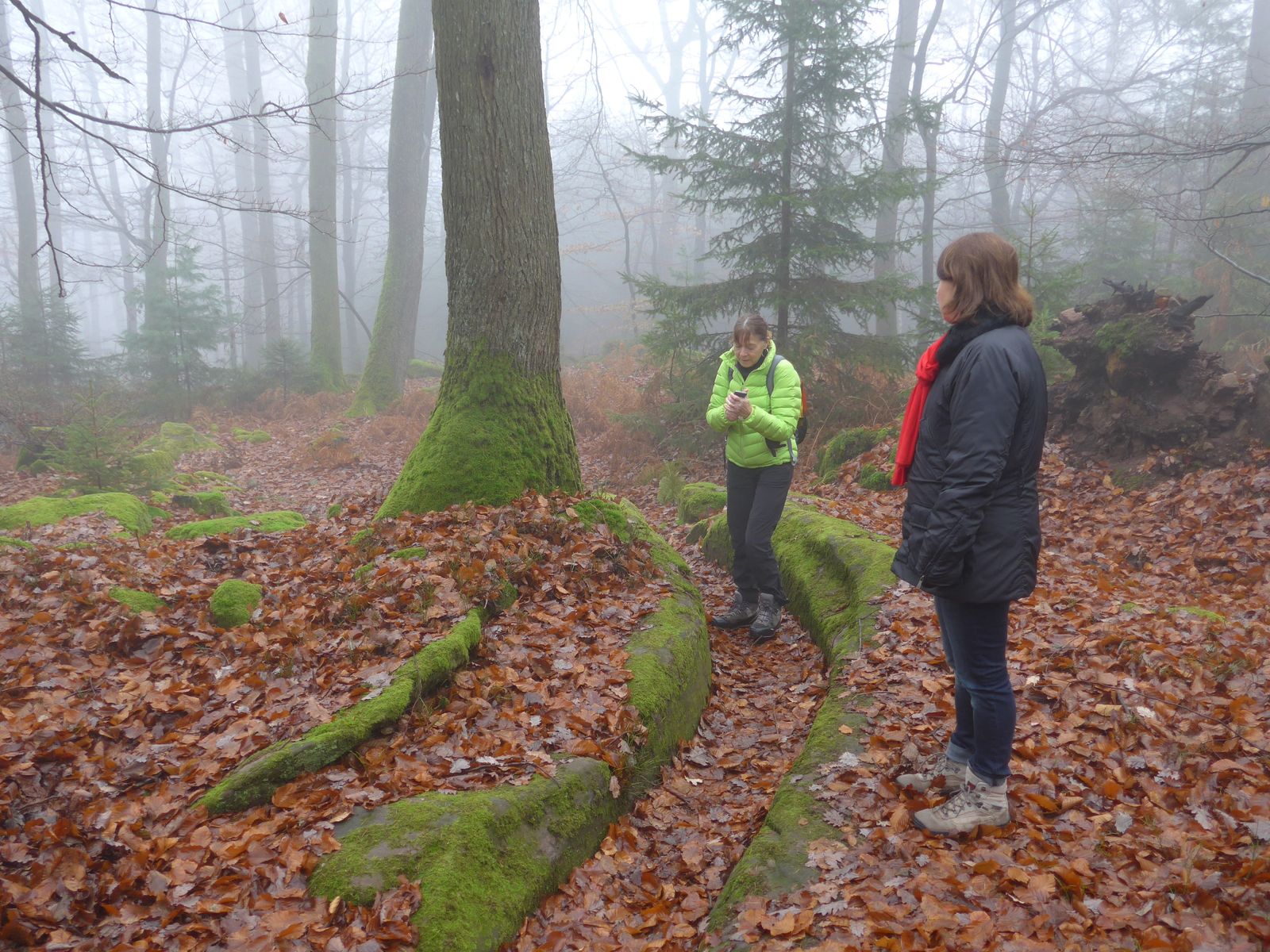 rencontre a oberbronn