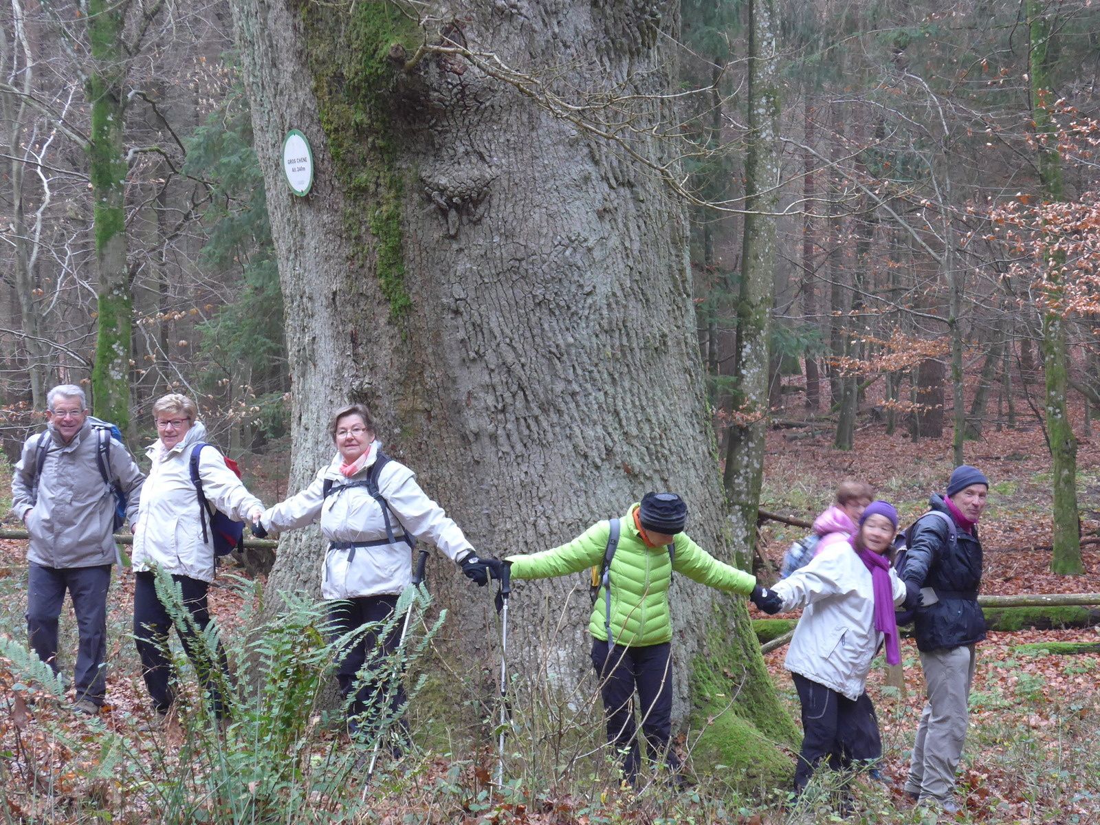 lieu de rencontre saverne