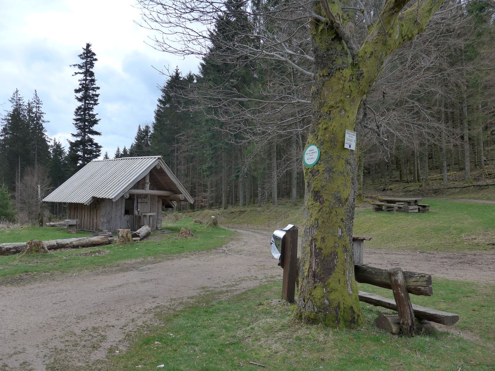 rencontre sainte marie aux mines