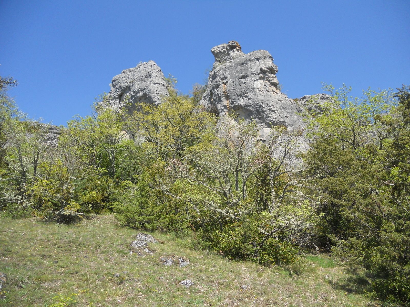 RANDO A LA ROQUE SAINTE MARGUERITE