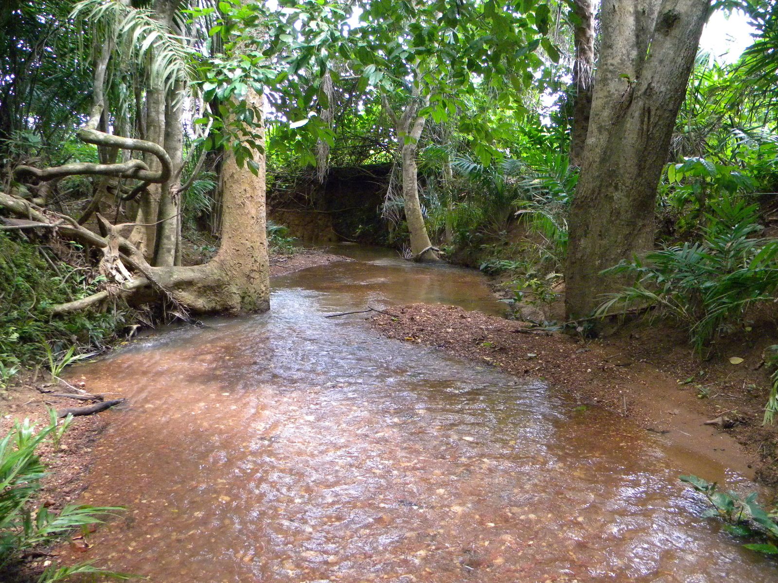 Charmante rivière au coeur des prairies