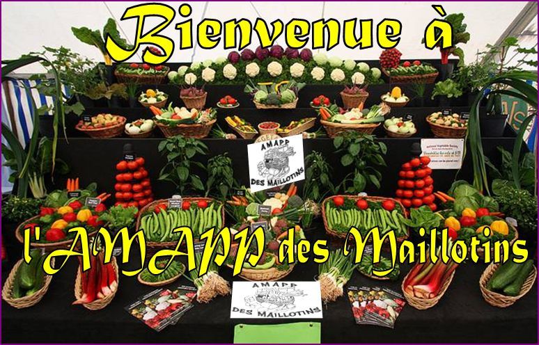 ACCUEIL - AMAPP des Maillotins 2013 - Présentation de vos fournisseurs en image ! Une AMAPP c'est quoi ? Les adresses des AMAP de l'Yonne.