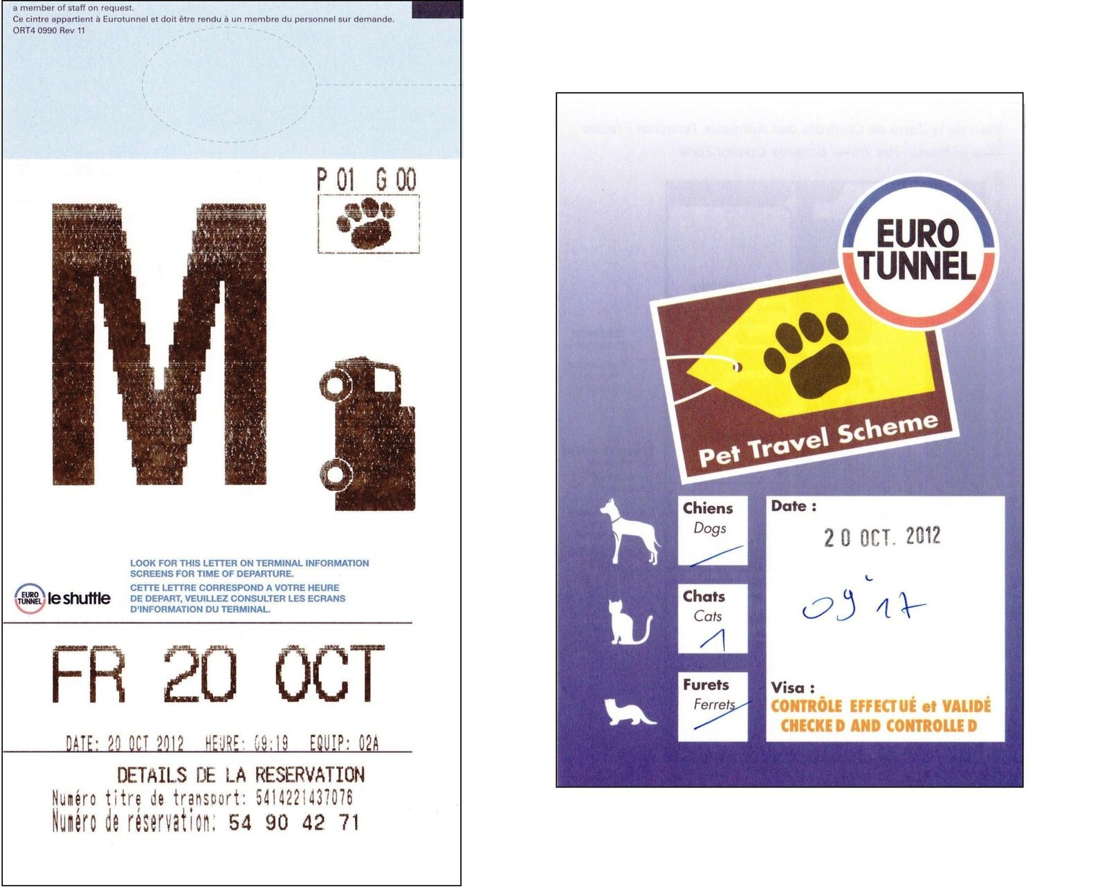 site rencontre animaux de compagnie