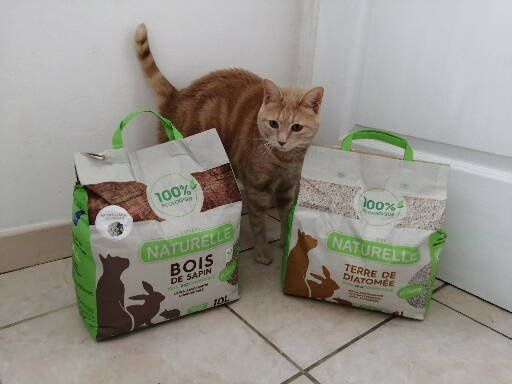 Oliver a testé les litières Perlinette Demavic Laboratoire - Une Belle Vie  De Chat : un blog sur le chat !