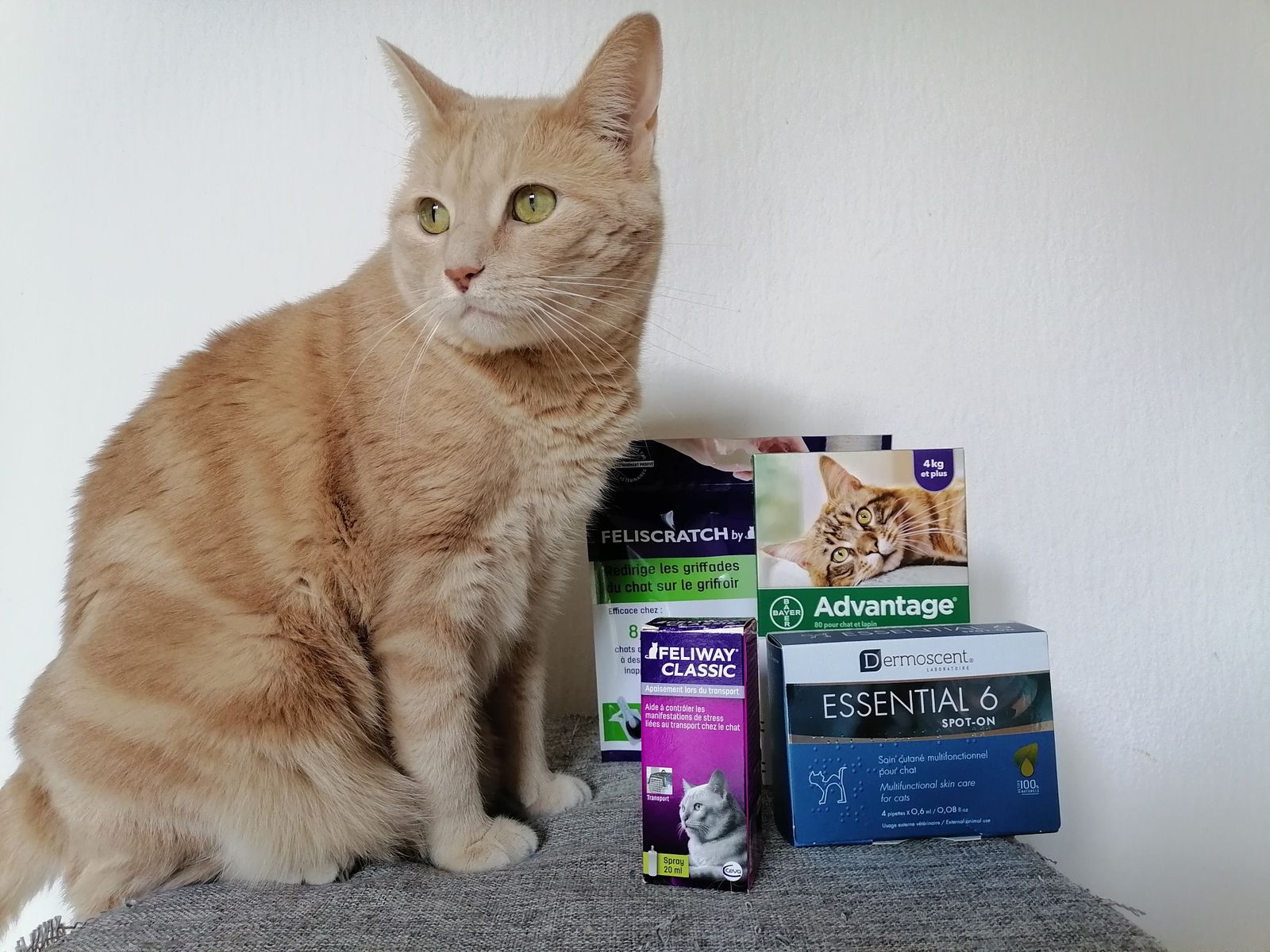 Les produits vétérinaires de la parapharmacie en ligne Santé Discount - Une  Belle Vie De Chat : un blog sur le chat !