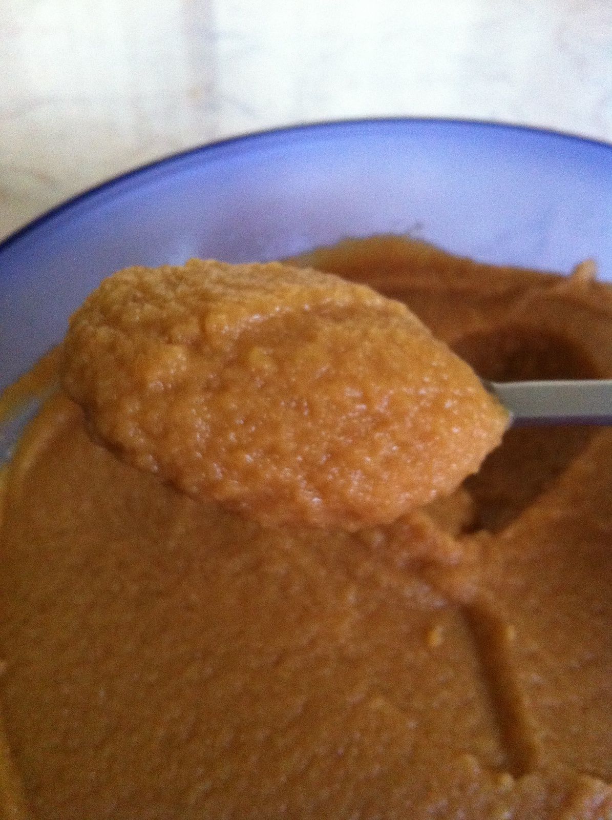 compote de pommes au speculos (thermomix) Les délices de Cintit