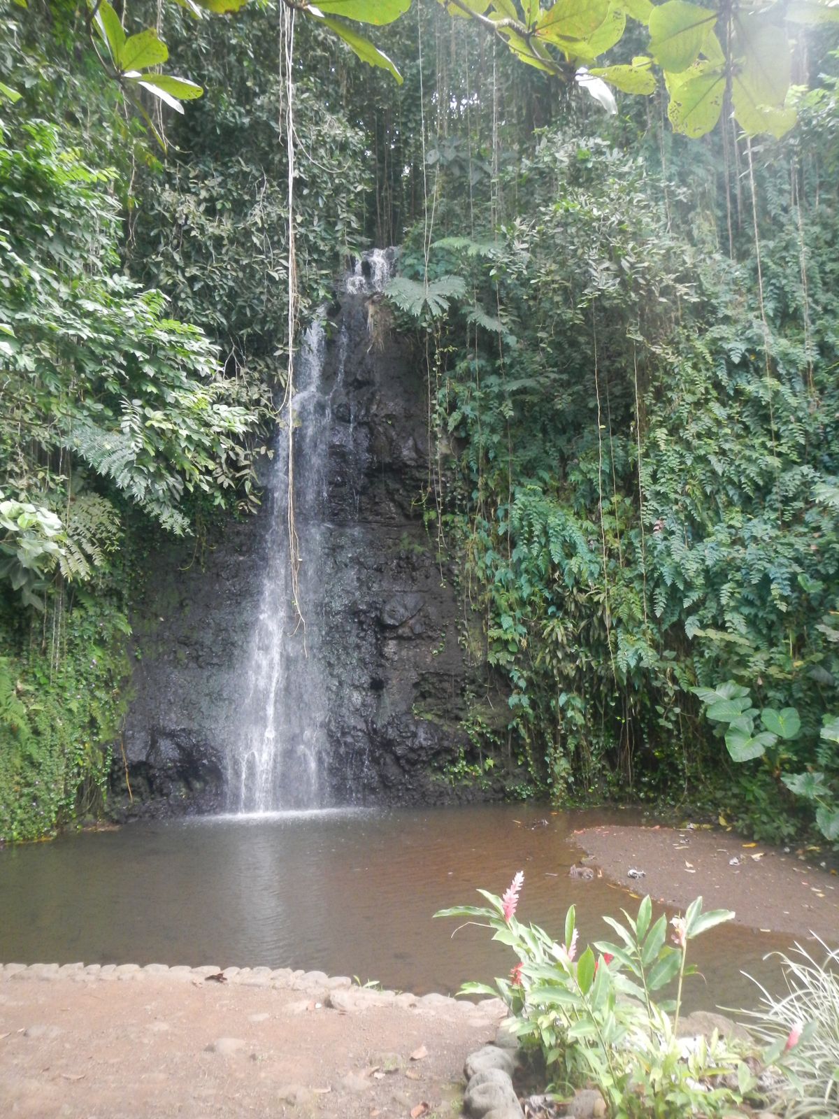 Le Jardin D Eau De Vaipahi Anne Pf Overblog Com