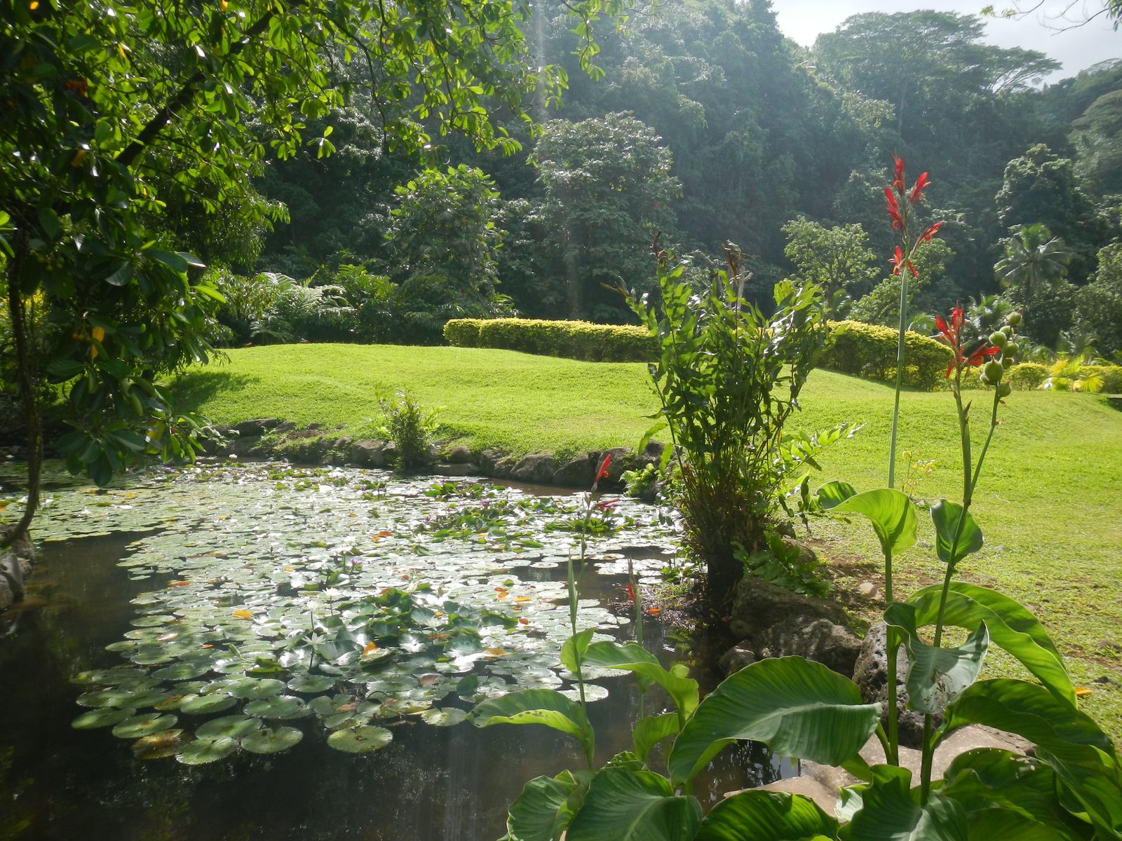Le Jardin D Eau De Vaipahi Anne Pf Overblog Com