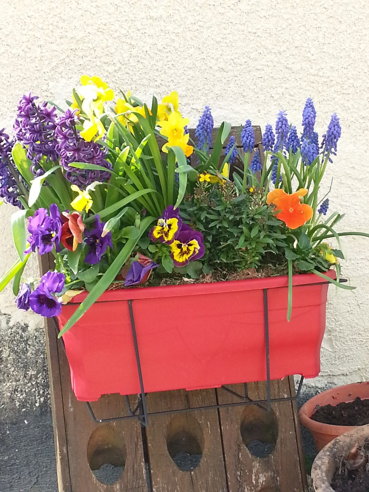 Et si on se baladait dans le jardin ?