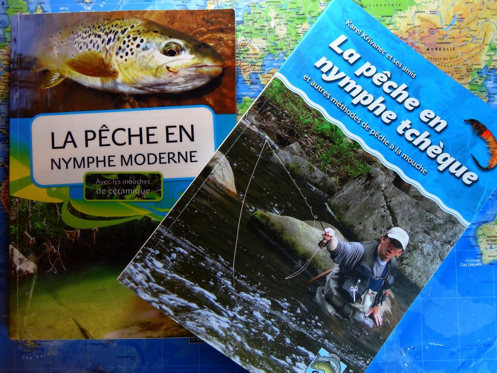 La pêche de vidéo du piranha