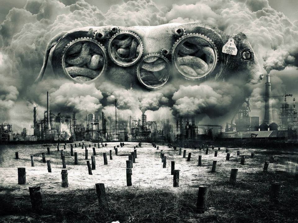 Mes Succès Damnés