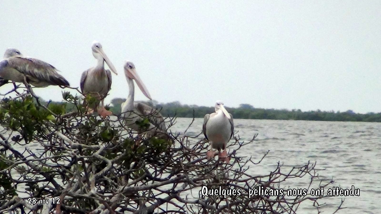 rencontre saly portudal