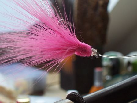 100_2857.jpg