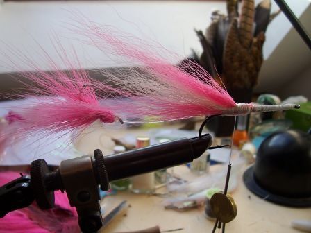 100_2858.jpg