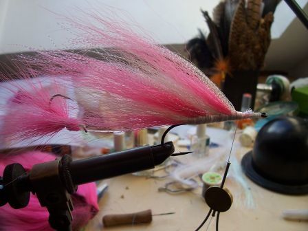100_2860.jpg