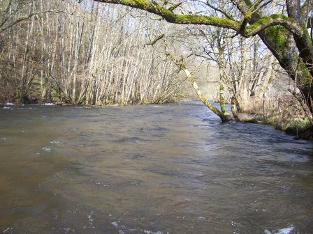 100_2205.jpg