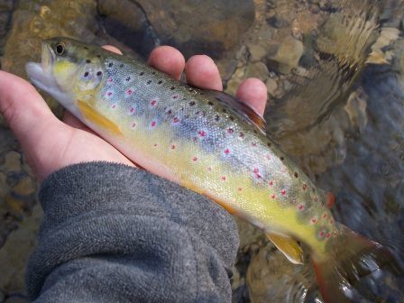 100_2228.jpg