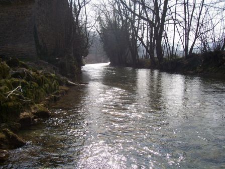 100_2225.jpg