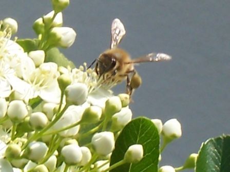 100_2315.jpg