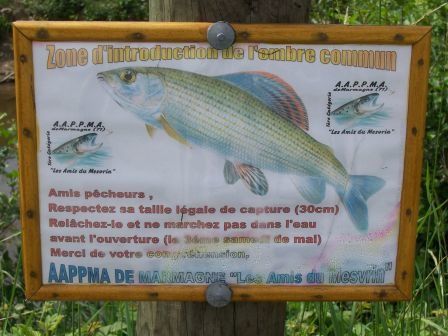 100_2511.jpg