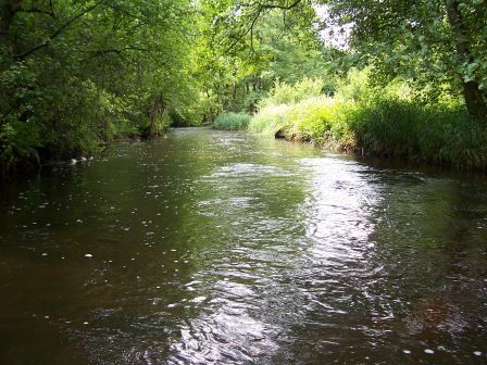 100_2595.jpg