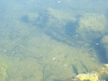100_3850.jpg