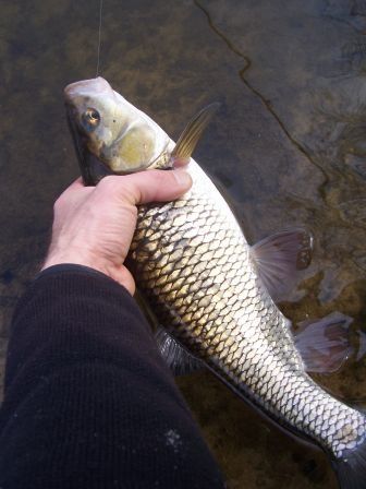 100B8330.JPG, mar. 2011 100B8330.JPG