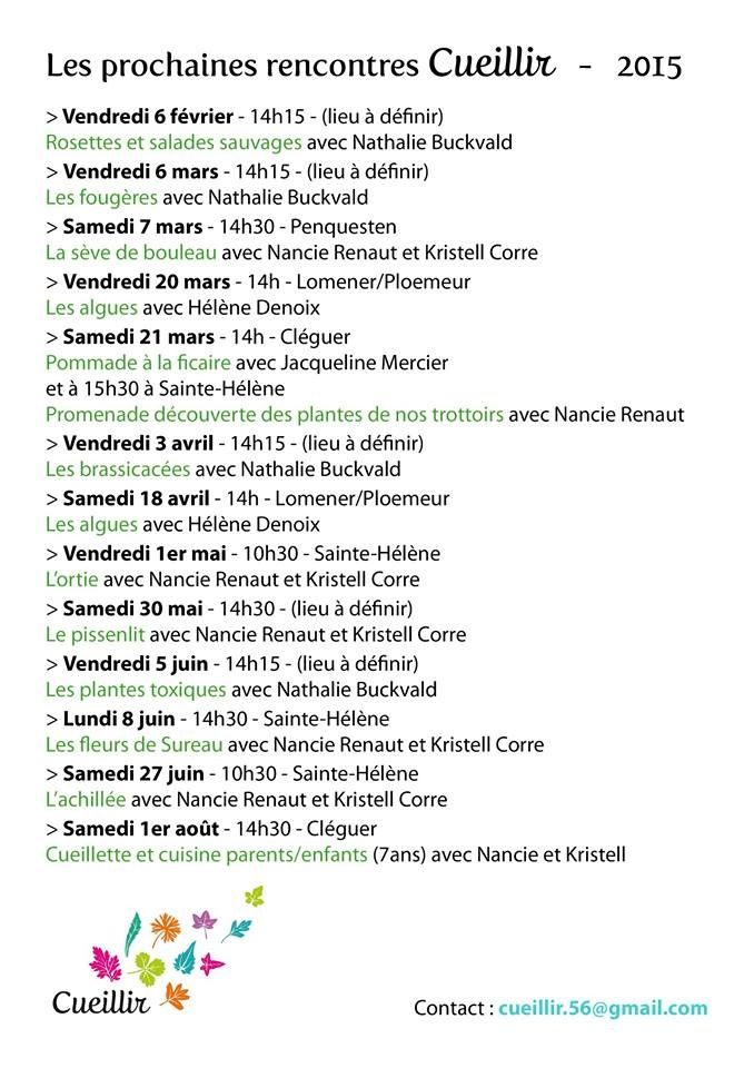 Le programme du premier semestre 2015