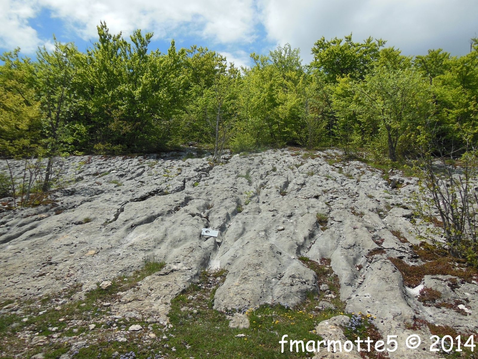 Voyage géologique dans le temps : Les Rimets, les Coulmes, Vercors. image