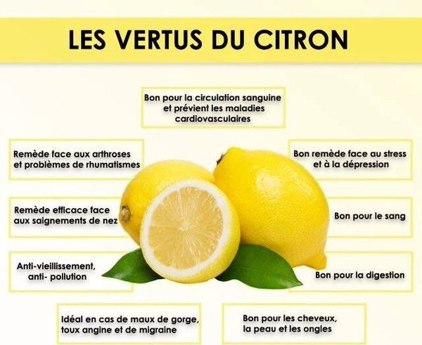 Les Bienfaits Du Linezolid