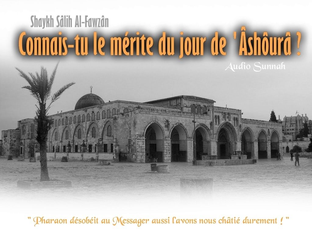 TÉLÉCHARGER CHEIKH AL ALBANI MP3 AL MP3 ALBANI CHEIKH TÉLÉCHARGER