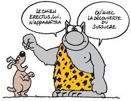 Citation Du Jour Phillipe Geluck 24 05 13 L Arbre Aux Clochettes
