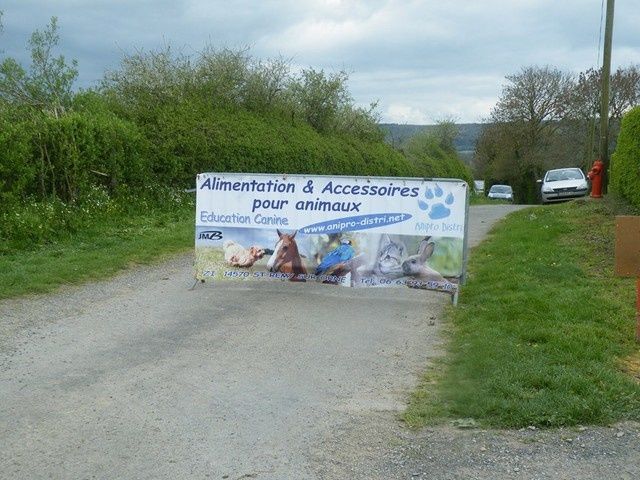 les demoiselles de rochefort les rencontres