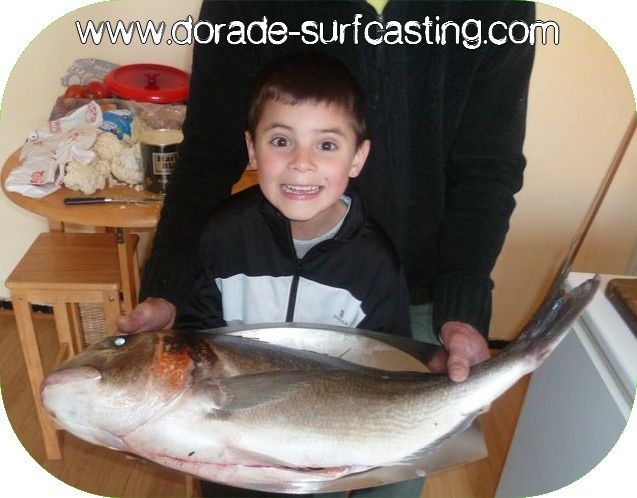 Dorade Record - Dorade Surfcasting